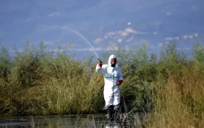 Ιός του δυτικού Νείλου: Αυξημένα κρούσματα και θάνατοι σε όλη τη χώρα