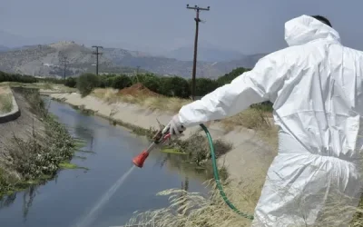 Ιός του Δυτικού Νείλου: Αυξημένα κρούσματα με επιπλοκές στην Ελλάδα – Συστάσεις προστασίας