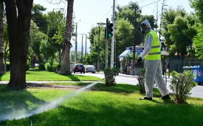 Κόκκινος συναγερμός για τον ιό του Δυτικού Νείλου: Έκτακτα μέτρα στην Αττική