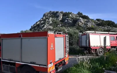 Μάχη με τις φλόγες σε δύο μέτωπα στη Βοιωτία: Ενισχύονται οι δυνάμεις, μηνύματα από το 112