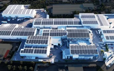Νέες παραγωγικές μονάδες και αυξημένος τζίρος για τη ΜΕΓΑ το 2025, με πιέσεις στην κερδοφορία