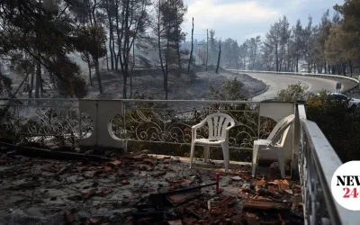 Ο άκης σκέρτσος μιλά για επιτυχία στην αντιμετώπιση της φωτιάς στη χαλκιδική