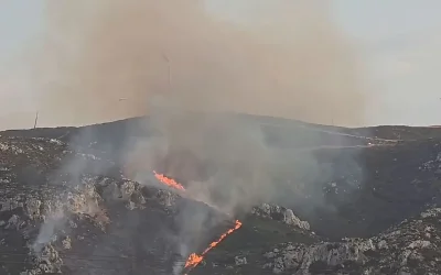Ολονύχτια μάχη με τις αναζωπυρώσεις στην Κω