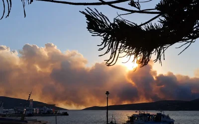 Ολονύχτια μάχη με τις φλόγες στη Σκύρο: κρίσιμες οι επόμενες ώρες