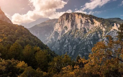 Συναγερμός στον Όλυμπο: Επιχείρηση διάσωσης για πτώση ορειβάτη σε δύσβατη χαράδρα