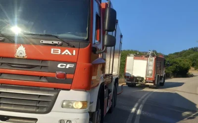 Οριοθετήθηκε άμεσα η πυρκαγιά στην Τήνο εν μέσω ισχυρών ανέμων