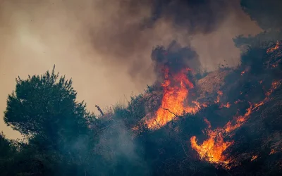 Πυρκαγιά στην Τήνο: κινητοποίηση δυνάμεων στον Τριαντάρο εν μέσω ισχυρών ανέμων