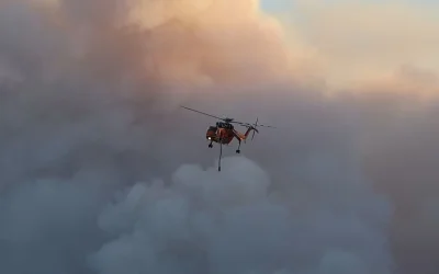 Πύρινος εφιάλτης σε Αττικοβοιωτία, Κεφαλονιά, Φωκίδα και Χαλκιδική: Πάνω από 66.000 στρέμματα στάχτη