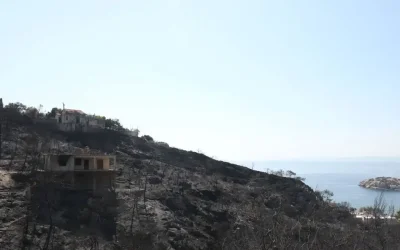 Σαλαμίνα: Αμέλεια ηλικιωμένης για τη φωτιά στα Περιστέρια, μαρτυρία για εμπρησμό στα Σελίνια