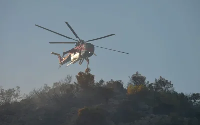 Συνελήφθη 49χρονος για φωτιά από αμέλεια στη Σαλαμίνα