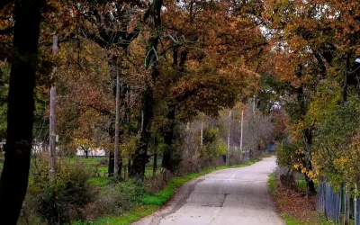 Το ΥΠΕΝ απαντά για το Antinero: Κρίνεται από τα στοιχεία και τα αποτελέσματά του