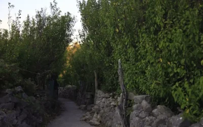 Τραγωδία στα Χανιά: 41χρονη Γαλλίδα πεζοπόρος κατέληξε στο ασθενοφόρο