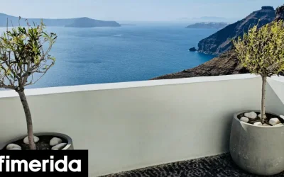 Τρία δέντρα ιδανικά για καλλιέργεια σε γλάστρες: Λύσεις για μπαλκόνια και βεράντες