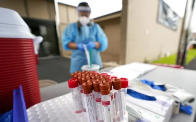 Ανακαλύφθηκε νέος κορονοϊός σε νυχτερίδες της Βραζιλίας – Ερωτήματα για την προέλευση της COVID-19