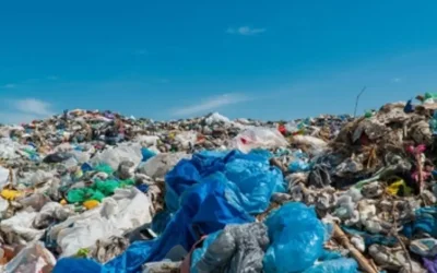 Διεθνείς διεργασίες και προβληματισμοί για την πλαστική ρύπανση