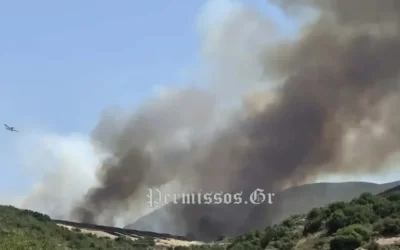 Δύο συλλήψεις για τη φωτιά στον Μύτικα Θήβας – Ξεκίνησε από εργασίες σε φωτοβολταϊκό πάρκο