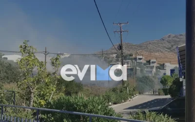 Φωτιά στην Κάρυστο: Ήχησε το 112 για ετοιμότητα, ισχυρές δυνάμεις στο σημείο