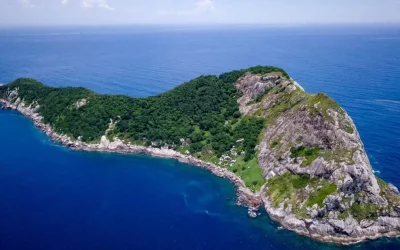 Το νησί των φιδιών στον Ατλαντικό: Ένας εξωτικός παράδεισος με μοναδικό κίνδυνο