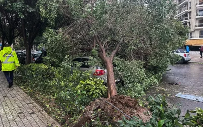 Κακοκαιρία στην Αττική: 50 κλήσεις στην Πυροσβεστική για αντλήσεις υδάτων και κοπές δέντρων