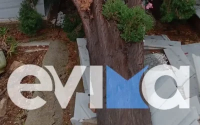 Κυπαρίσσι έπεσε σε νεκροταφείο της Λίμνης Εύβοιας λόγω κακοκαιρίας