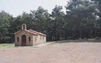 Νεκρός βρέθηκε 45χρονος επιχειρηματίας στη Μυτιλήνη μετά από έξοδο για κυνήγι