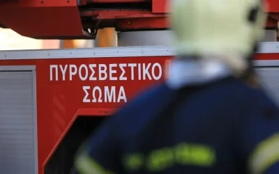 Πυρκαγιά σε επιχείρηση παλετοποιίας στον Ασπρόπυργο: Μεγάλη κινητοποίηση της Πυροσβεστικής