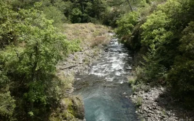 Βιετναμέζος δημιούργησε υδροηλεκτρικό σταθμό με απλά υλικά