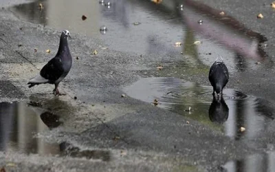 Άνοδος της θερμοκρασίας αλλά με βροχές την Τρίτη