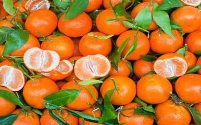 Αφράτα σπιτικά μπισκότα με γεύση μανταρίνι