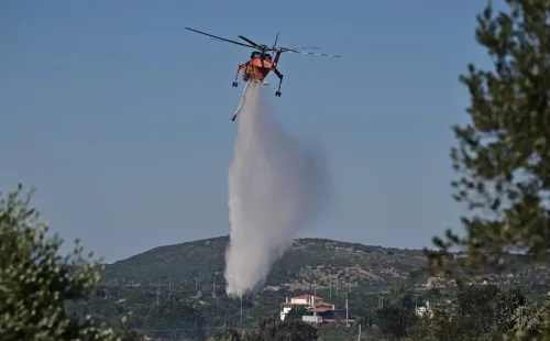 Φωτιά στη Βοιωτία: Κλειστή η Εθνική Οδός Αθηνών-Λαμίας – Μήνυμα από το 112 στο Ακραίφνιο