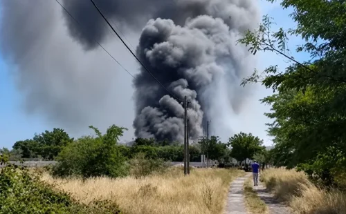 Φυλάκιση χωρίς αναστολή σε 70χρονο για φωτιά: Μου έπεσε αναμμένο χαρτί, ήθελα να διώξω σφήκες
