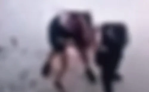 Σοκαριστικό βίντεο από ξυλοδαρμό ανήλικης στην Κρήτη: Σκληρές εικόνες
