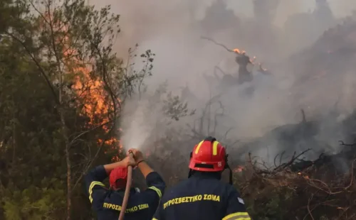 Η περίμετρος της καμένης έκτασης από την φωτιά στη Σίβηρη Χαλκιδικής ανέρχεται στα 2.480 στρέμματα