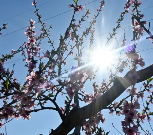 Προειδοποίηση Κολυδά: Ο χειμώνας επιστρέφει – Σταδιακή πτώση θερμοκρασίας και οργανωμένο σύστημα