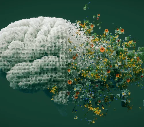 Παγκόσμιος Χάρτης IQ: Η Ελλάδα κάτω από τον Μέσο Όρο. Γιατί άλλοι λαοί ξεχωρίζουν