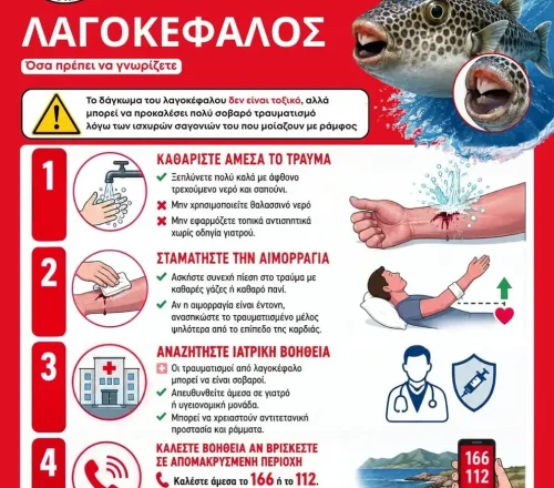 Λαγοκέφαλος: Το ψάρι που δεν συγχωρεί λάθη. Η τοξίνη μπορεί να σκοτώσει μέσα σε λίγες ώρες