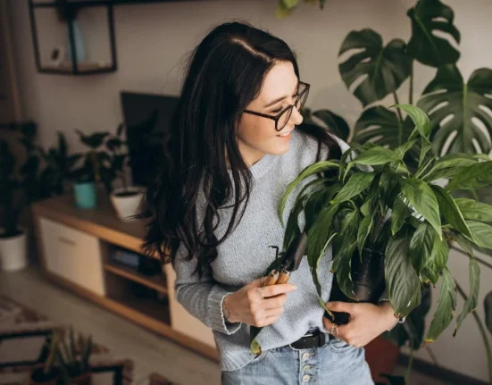 Καθαρή ατμόσφαιρα στο σπίτι: Τα 5 φυτά εσωτερικού χώρου που λειτουργούν ως φυσικά φίλτρα
