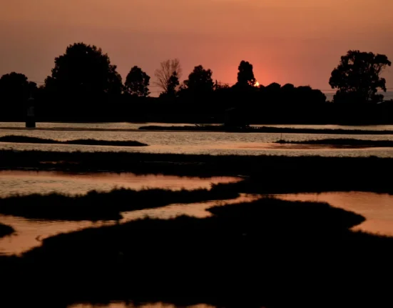 Καλοκαίρι 2026: «Σούπερ Ελ Νίνιο» και ακραίες θερμοκρασίες αναμένονται