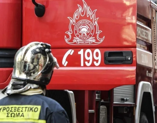 Φωτιά στο Άλσος Βεΐκου: Ταυτοποιήθηκε 46χρονος μελισσοκόμος – Βίντεο-ντοκουμέντο