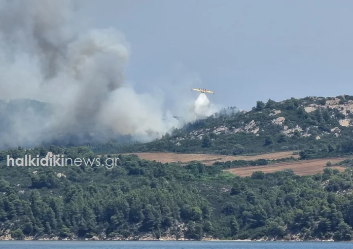 Φωτιά στο Άγιο Όρος: Νέες εικόνες από τη μάχη της κατάσβεσης και την αποπνικτική ατμόσφαιρα στο σημείο