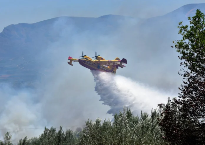 Σαλαμίνα: Φωτιά σε δασική έκταση στην περιοχή Αιάντειο