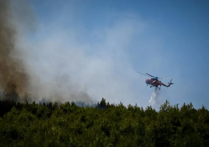 Φωτιά στην Ηλεία: Δεν υπάρχει ενεργό μέτωπο – Προσήχθη ένας ύποπτος