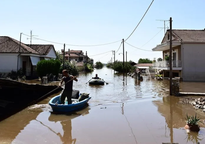 Καμπανάκι κινδύνου από κτηνοτρόφο: Τα νεκρά ζώα ήδη μυρίζουν – Υγειονομική βόμβα σε όλη την περιοχή