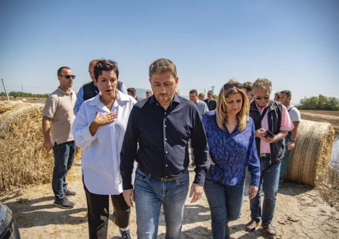 Ανδρουλάκης: Κίνδυνος να μετατραπεί η Θεσσαλία σε υγειονομική βόμβα – Μεγάλες οι ευθύνες κυβέρνησης και περιφέρειας