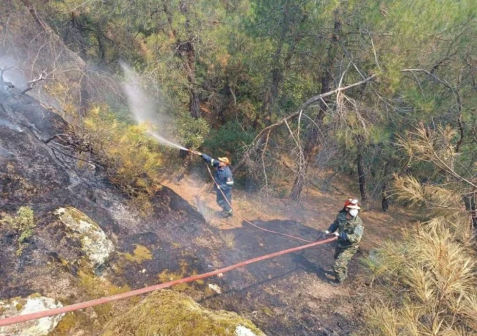 Τραγωδία στη Δαδιά: Δυο παιδιά ανάμεσα στους απανθρακωμένους