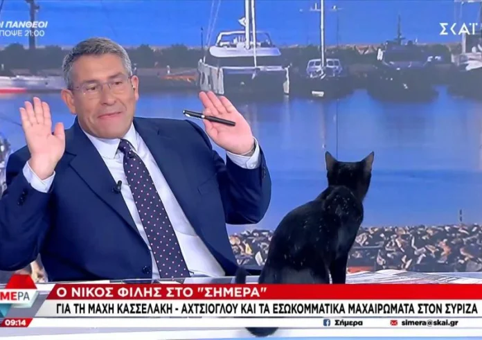 Μαύρη γάτα «εισέβαλε» στο πλατό του ΣΚΑΪ την ώρα που μιλούσε ο Νίκος Φίλης – Δείτε βίντεο