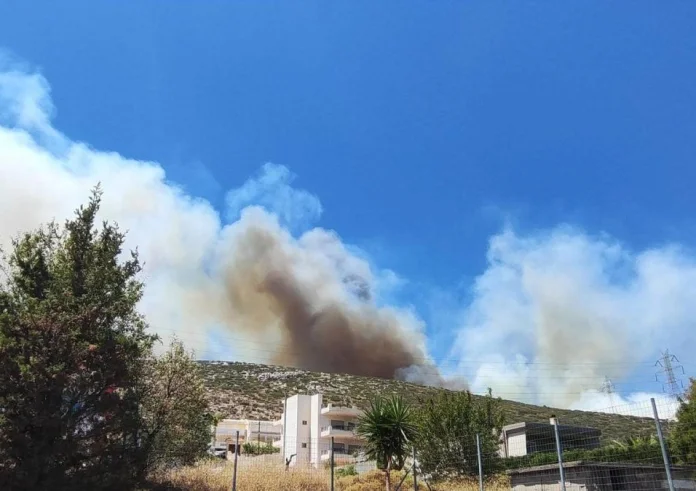 Φωτιά στον Νέο Κουβαρά: Γυρίζουν πίσω τα οχήματα σε κεντρικό δρόμο για να μην εγκλωβιστούν