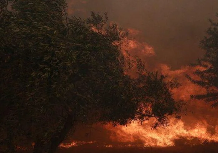 Φωτιά στην Πάρνηθα: Τι εξετάζεται ως αιτία της πυρκαγιάς