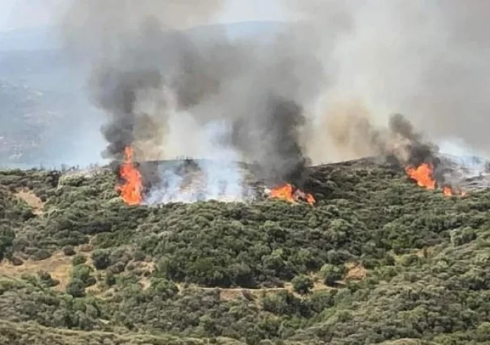 Φωτιά στη Λακωνία: Αναζωπύρωση στην περιοχή Πυρί