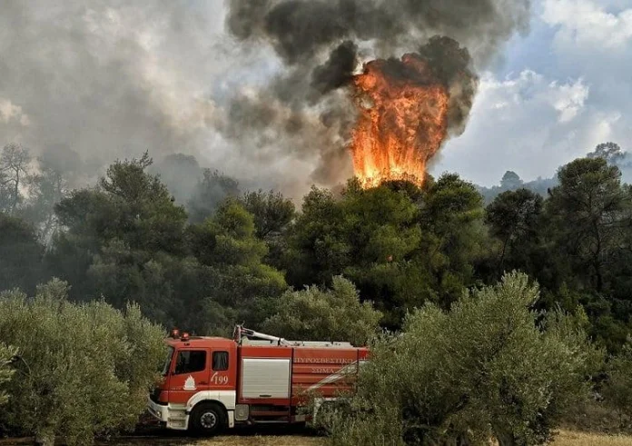 Αναζωπυρώσεις και εκκενώσεις οικισμών στον Έβρο - Οριοθετήθηκε η φωτιά στην Άνδρο